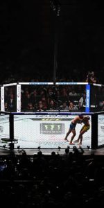 UFC Betting Explained