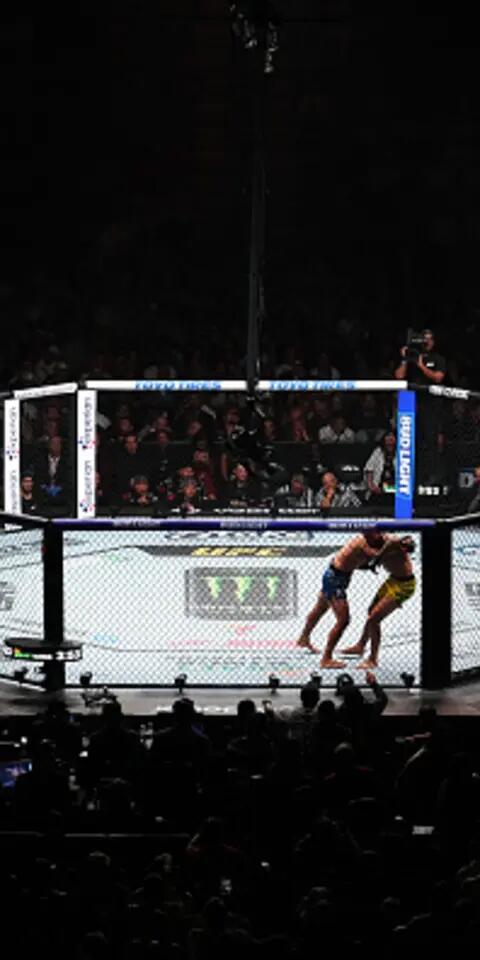 UFC Betting Explained